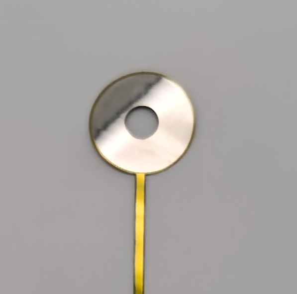 纯铂电极 - 神经信号采集与脑机接口研究基准电极